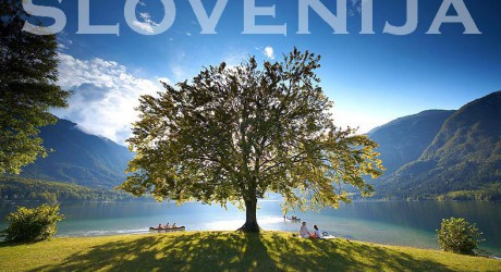 Slovenija, naa lepa deela Seznam forumov
